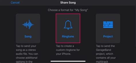 How to Set Ringtone on iPhone 13 from Music Library: A Detailed Insight with Additional Discussion Points